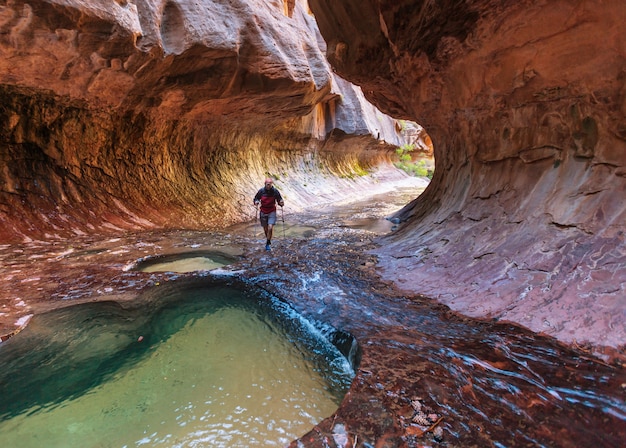 Caminata en el Parque Nacional Zion