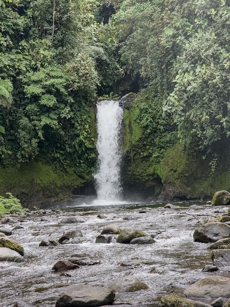 Caminata a través de montañas y cascadas en Chiriqui