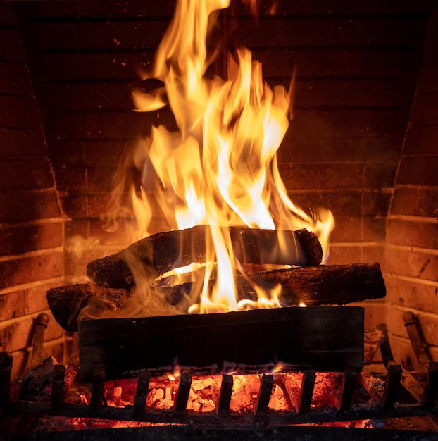 Caminera ardiendo fuego acogedor cálido junto a la chimenea casa de Navidad