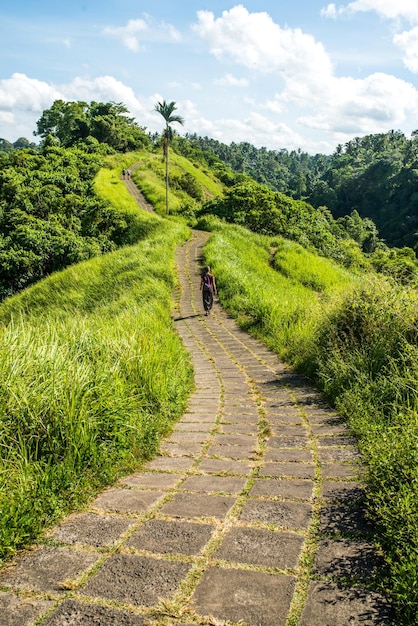 Caminhada Campuhan Ridge