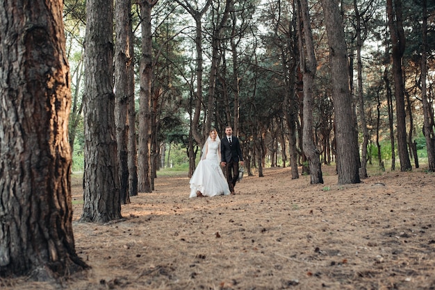 Caminhada da noiva e do noivo pela floresta de outono em outubro