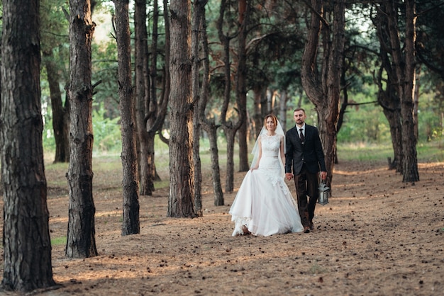 Caminhada da noiva e do noivo pela floresta de outono em outubro