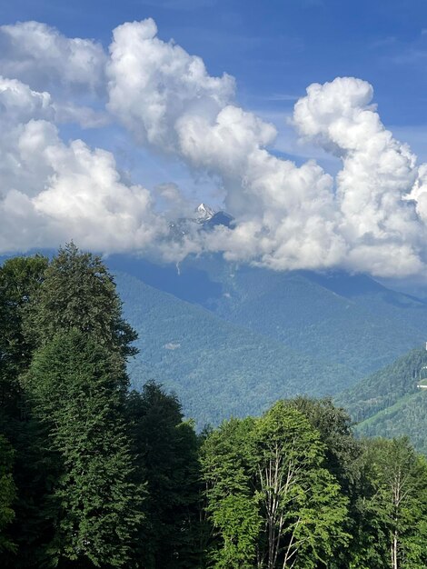 Foto caminhada de montanha num dia de verão ensolarado