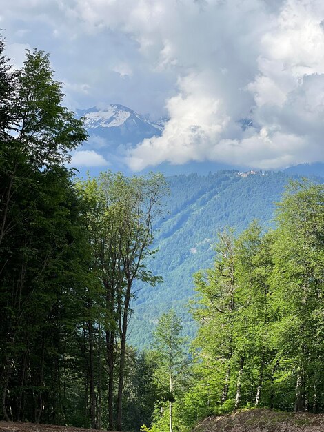 Foto caminhada de montanha num dia de verão ensolarado