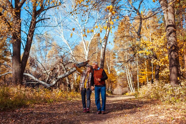 Foto caminhada de outono casal de idosos caminhando na floresta de outono admirando a natureza homem e mulher falando ao ar livre