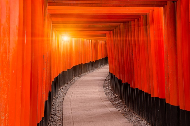 Caminhada de torii vermelho no templo de Fushimi inari taisha, local de viagem mais popular de Kyoto na região de Kansai, Japão