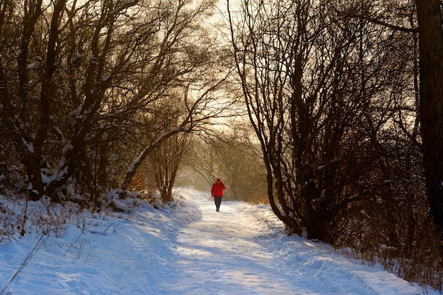 caminhada inverno