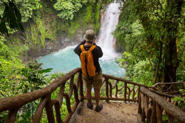 Caminhada na selva tropical verde, Costa Rica, América Central