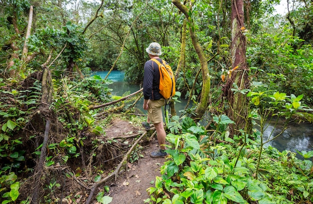 Caminhada na selva tropical verde, Costa Rica, América Central