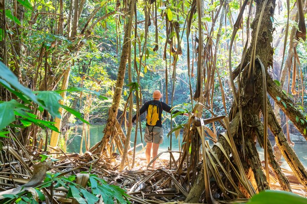 Caminhada na selva