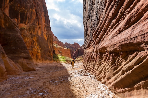 Caminhada nas montanhas de Utah