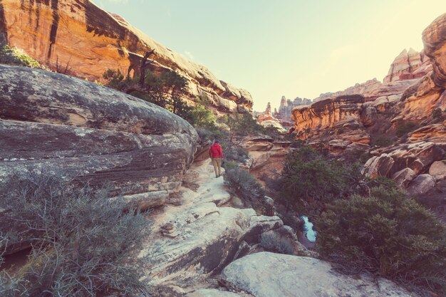 Caminhada no parque nacional de zion