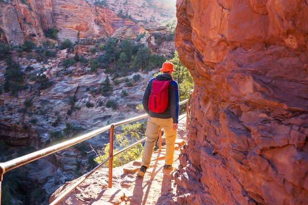 Caminhada no Parque Nacional de Zion