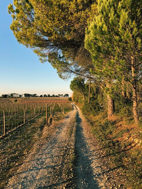 Foto caminhada rural