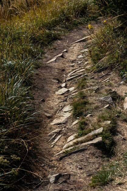 Foto caminhadas de pedras campo de grama