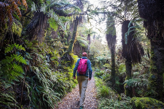 Caminhadas e vagas na nova zelândia. conceito de caminhada e aventura