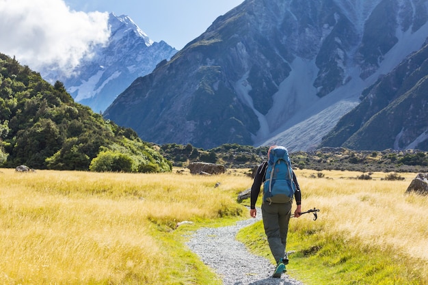 Caminhadas e vagas na nova zelândia. conceito de caminhada e aventura