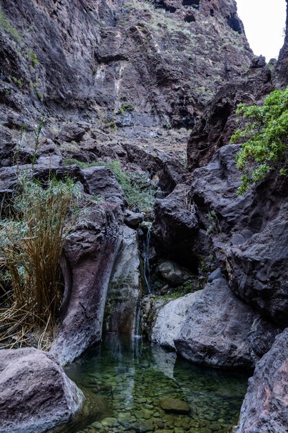 Caminhadas em Gorge Masca. Ilha vulcânica. Montanhas da ilha de Tenerife, Ilhas Canárias, Espanha.