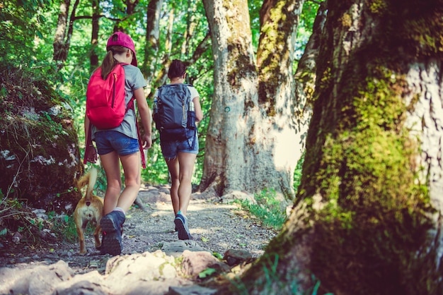 Caminhadas na floresta