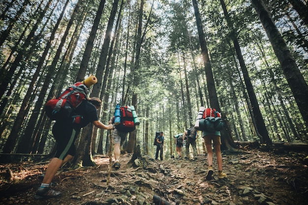 Caminhadas nas montanhas