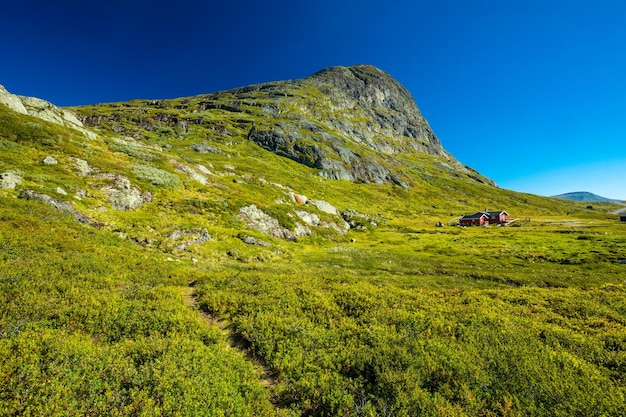 Caminhadas no Parque Nacional de Jotunheimen na Noruega Synshorn Mountain