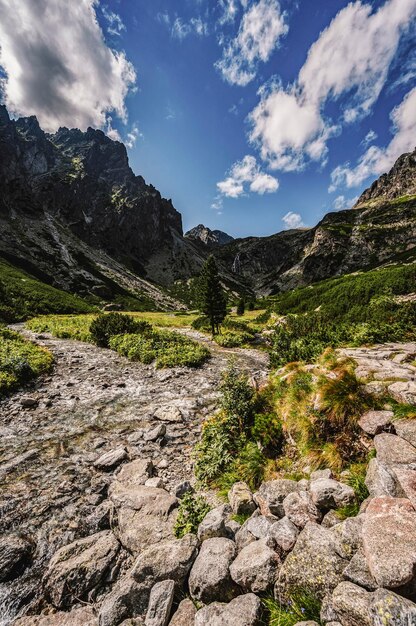 Caminhadas pelo Great Cold Valley velka studena dolina até Zbojnicka cottage e teryho cottage através de priecne saddle High Tatras National park Eslováquia paisagem