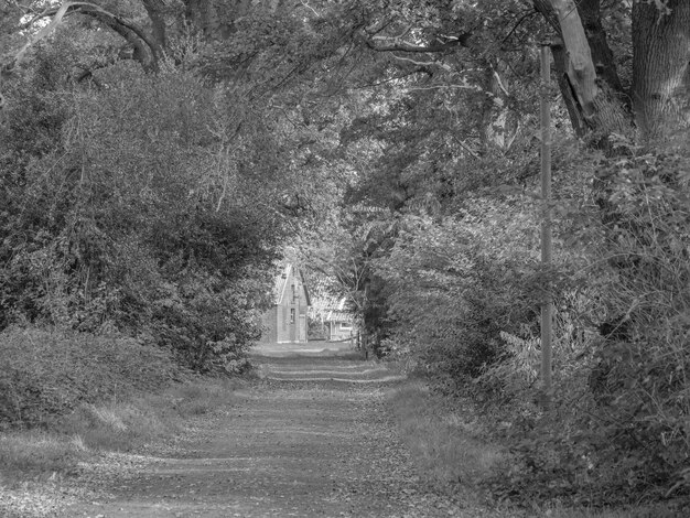 caminhadas perto de emlichheim