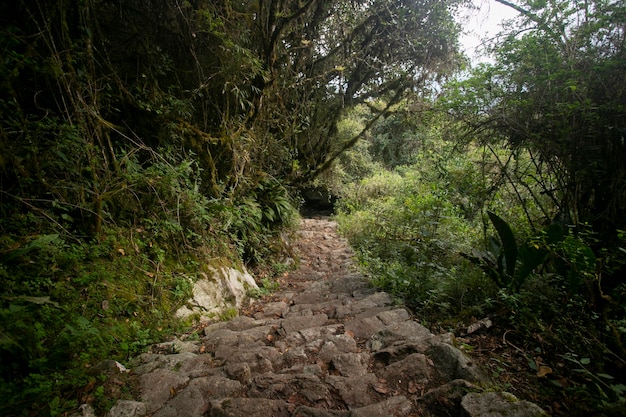 Foto caminhando em direção à cidade de machu picchu pela trilha inca. escadaria de pedra.