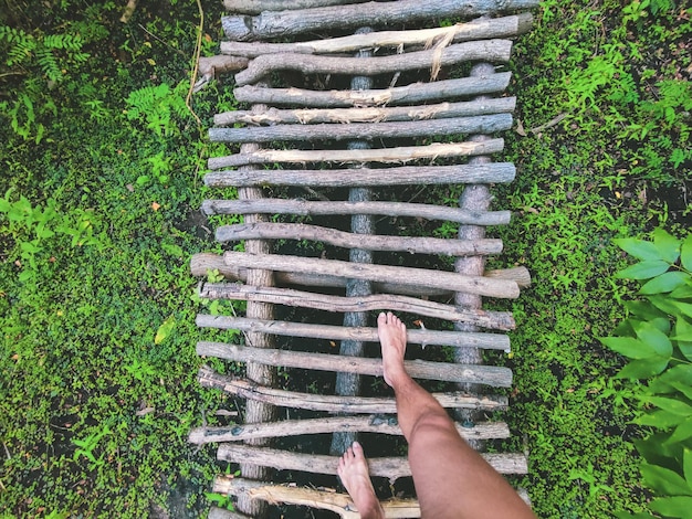 Caminhando em uma pequena ponte de madeira para a natureza Uma passarela de madeira leva pela floresta Calçadão de madeira