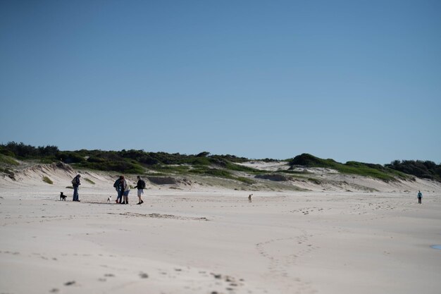 caminhando em uma praia no inverno na Austrália bela paisagem de praia na América na natureza