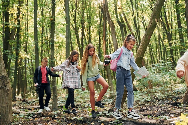 Caminhando juntos crianças na floresta verde no dia de verão juntos