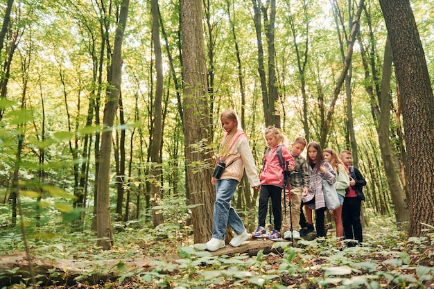 Caminhando juntos Crianças na floresta verde no dia de verão juntos