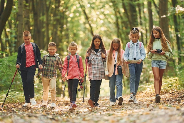 Caminhando juntos crianças na floresta verde no dia de verão