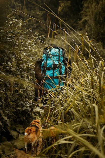 Caminhante com mochila de viagem passando por plantas altas com seu cachorro beagle.