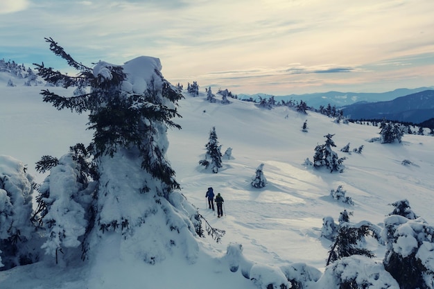 Caminhante com raquetes de neve no inverno