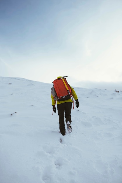 Caminhante em ben nevis nevado no inverno