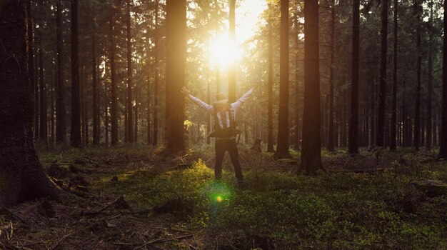 Caminhante feliz com as mãos levantadas no ar fica em uma floresta de pinheiros ao pôr do sol