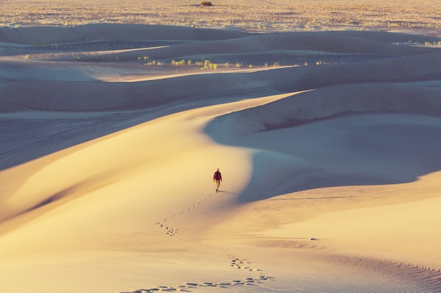 Caminhante no deserto de areia. Hora do nascer do sol.