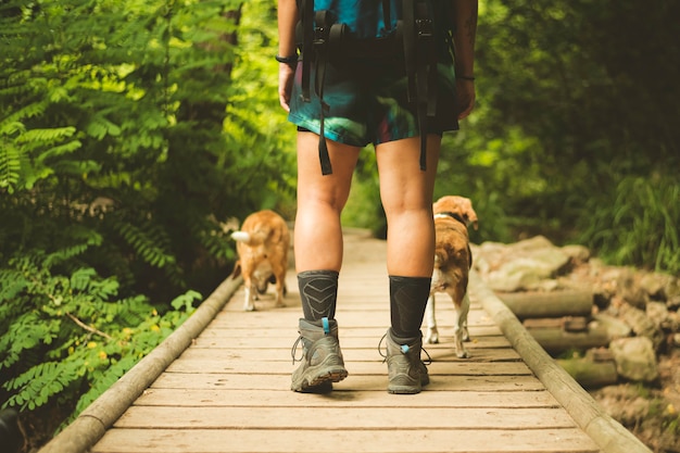 Caminhante que atravessa uma ponte com um cachorro beagle.