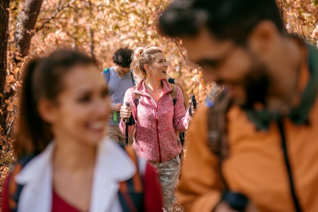 Foto caminhantes na floresta.