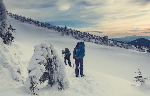 Caminhantes nas montanhas de inverno