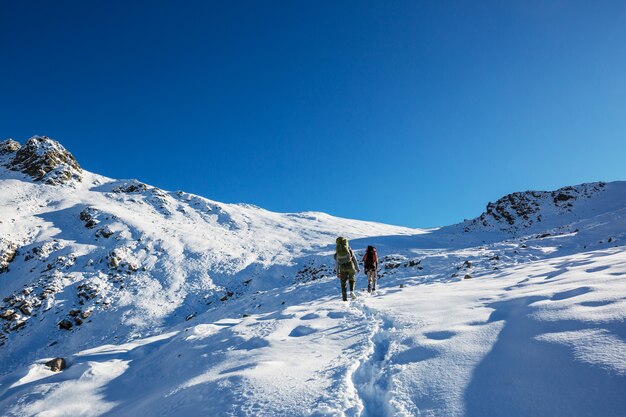 Caminhantes nas montanhas de inverno