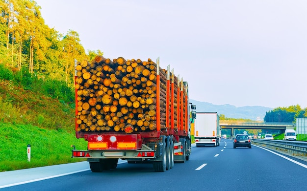 Caminhão na estrada de verão da Polônia. Caminhoneiro na rodovia. Caminhão fazendo trabalho de logística. Semi reboque com motorista. Grande movimentação de carro de carga. Entrega de frete. Indústria de exportação de transporte. Recipiente com mercadorias