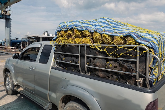 Caminhão sobrecarregado com colheita de durian no terminal de balsas esperando transferência Samui Tailândia