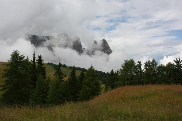 Caminhe pelas Dolomitas italianas