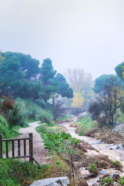 Caminho ao lado de um riacho em uma manhã de outono enevoada em Arroyomolinos, Madrid, Espanha