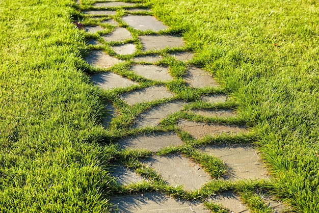 Caminho bonito em um jardim