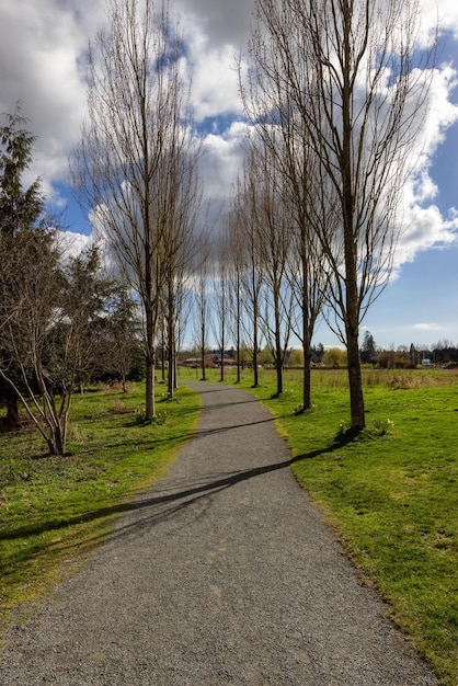 Caminho cênico em um parque com campo verde e árvores em uma cidade