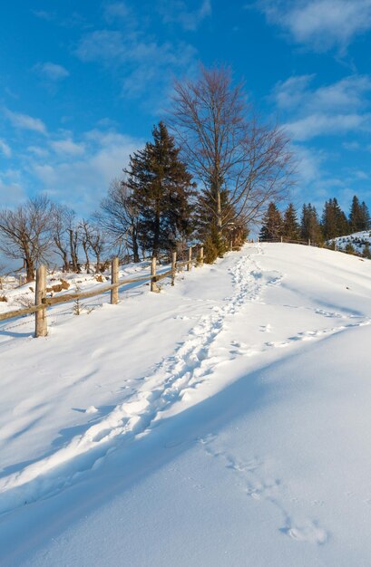 Caminho coberto de neve rural da montanha da manhã do inverno