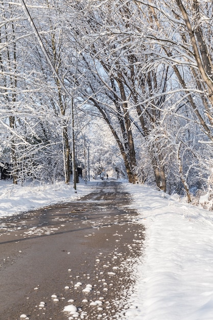 Caminho coberto de neve